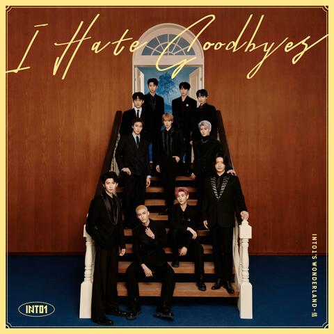 I Hate Goodbyes