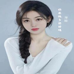 你在他乡还好吗