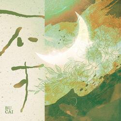 不才