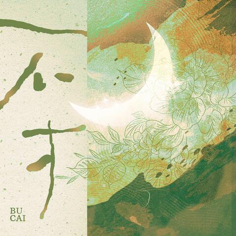 不才