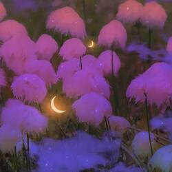 "Floraluna" Chill R&B Soul Piano Type Beat
