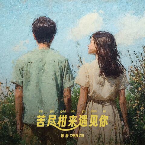 苦尽柑来遇见你