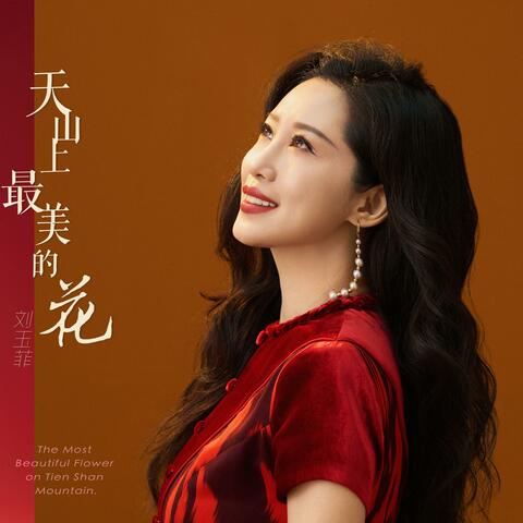 天山上最美的花