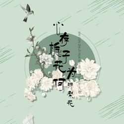 心存梔子花為何折梨花