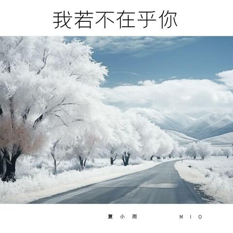 我若不在乎你