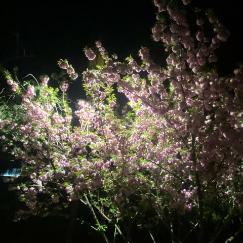 遇见