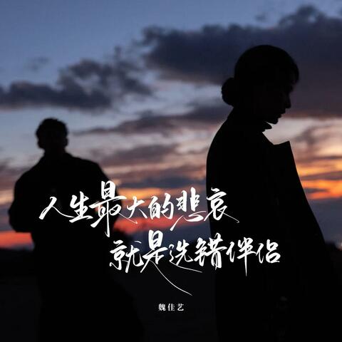 人生最大的悲哀就是选错伴侣