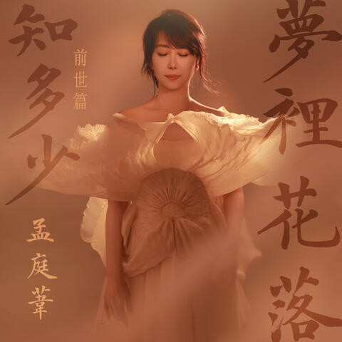 夢裏花落知多少