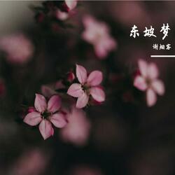 东坡梦