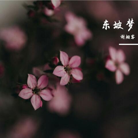 东坡梦