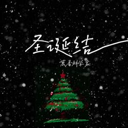 圣诞结·2022