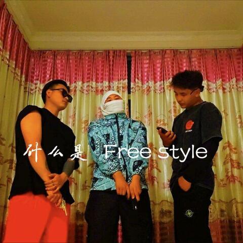 什么是  Free style