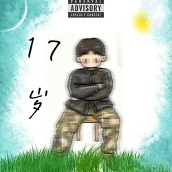 17岁