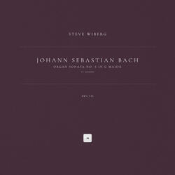 Organ Sonata No. 6 in G Major, BWV 530: III. Allegro