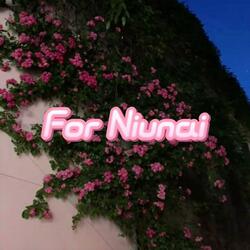 For Niunai 1