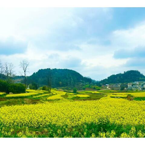 贵州永远在我心