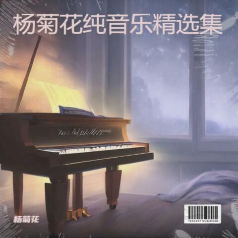 杨菊花纯音乐精选集