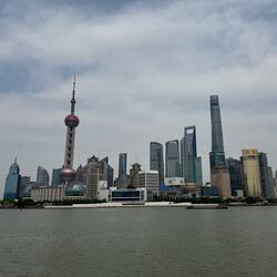 talk the talk freestlye