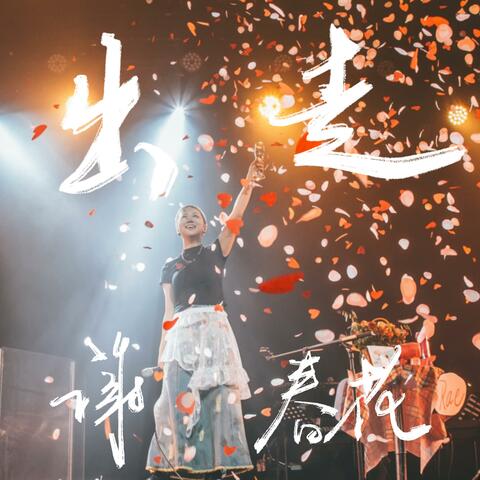出走