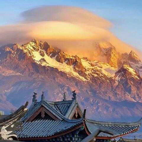紫色巧雕