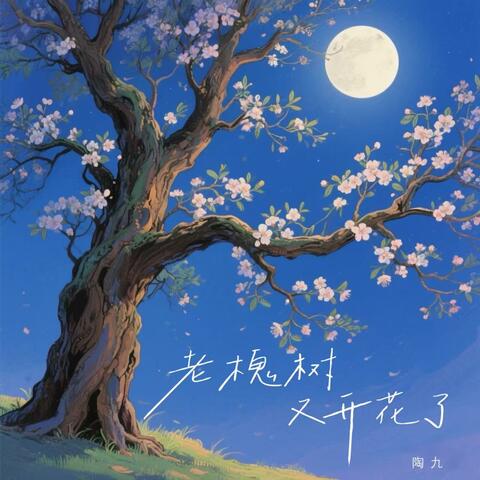 老槐树又开花了