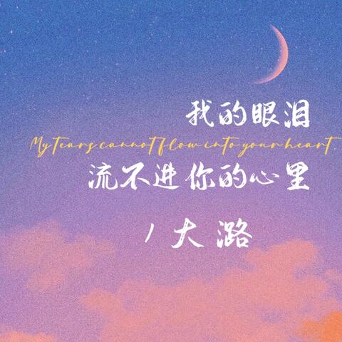 我的眼泪流不进你心里