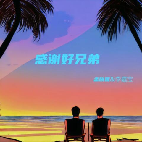 感谢好兄弟