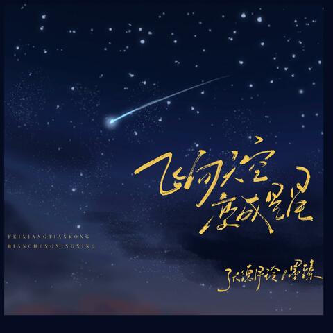 飞向天空变星星