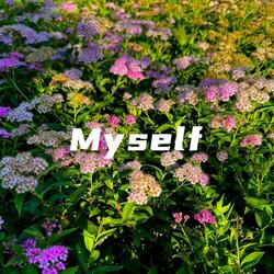 Myself