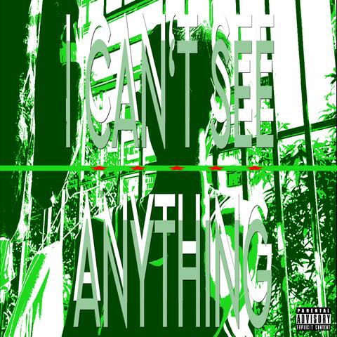 I Can‘t See Anything