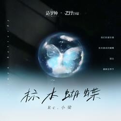 标本蝴蝶