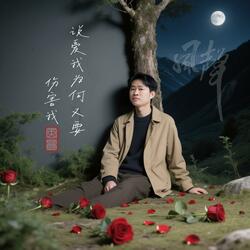 说爱我为何又要伤害我