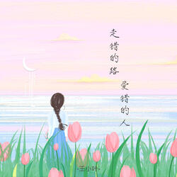 走错的路爱错的人