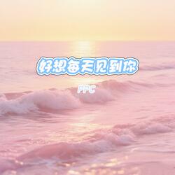 好想每天见到你