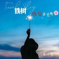 铁树终究不会开花