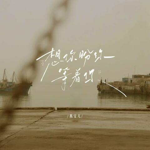 想你盼你念着你