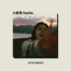 好好说晚安