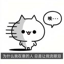 在意