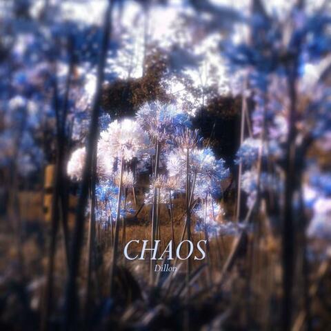 Chaos