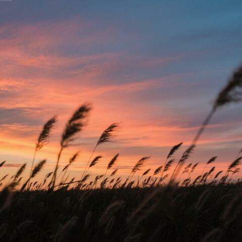 梦醒时分的柔光