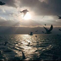 Remember（i Will I Will）