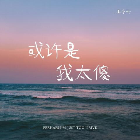 或许是我太傻