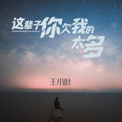 这辈子你欠我的太多