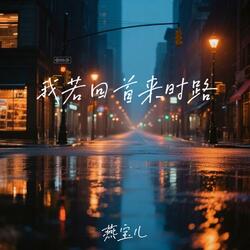 我若回首来时路