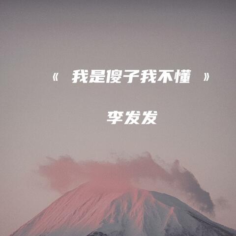 我是傻子我不懂