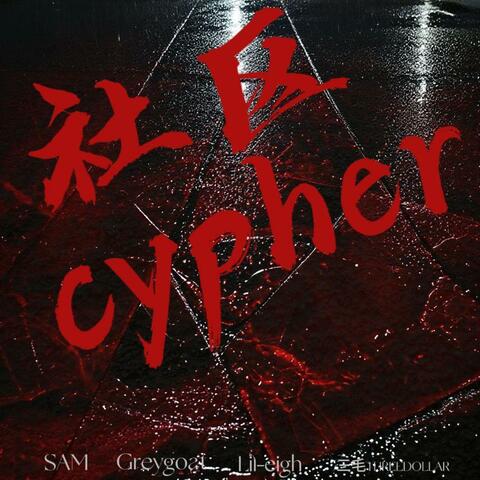 社区Cypher