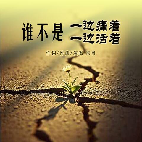 谁不是一边痛着一边活着