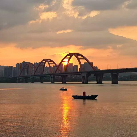随波浮沉