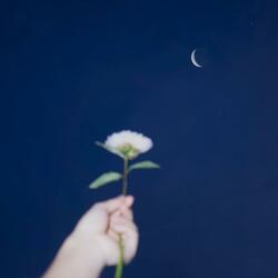 把回忆拼好给你