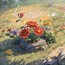 纵马踏花向自由